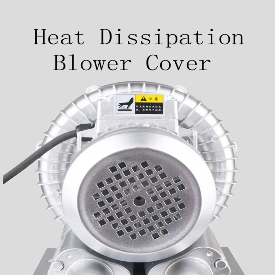 Pharmaceutical Industry Vortex Air Inflatable Blower with Double Stage