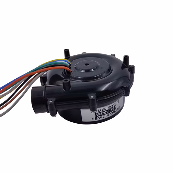 12V 24V DC Portable Fan Blower High Speed for Vacuum Cleaner and Ventilating Machine