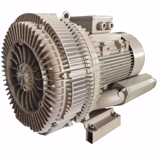 Pharmaceutical Industry Vortex Air Inflatable Blower with Double Stage
