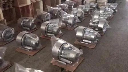 Air Blower for Medical Equipment Good Quality Double