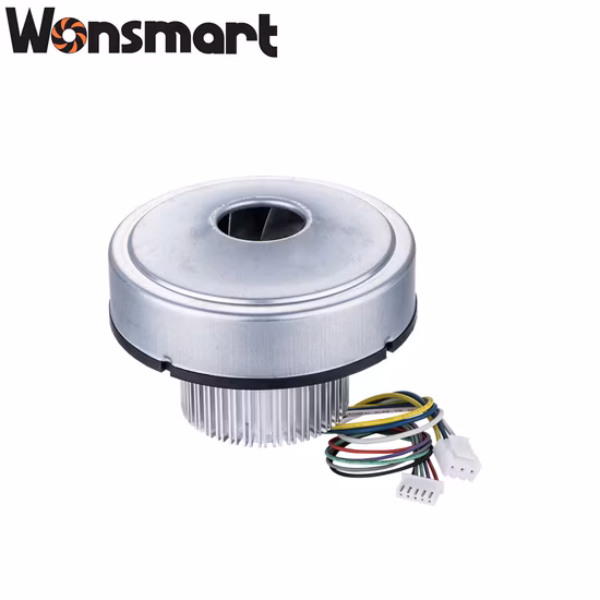 48V Burshless Blower with Industrial and Home Appliance Use